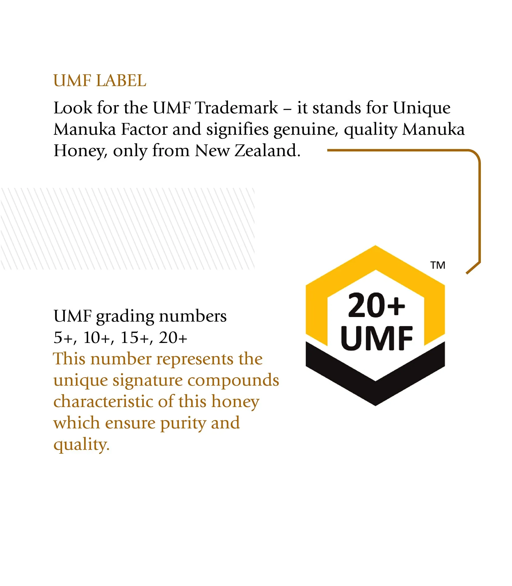 BeeNz Premium Manuka Honey (UMF 15 ) - 250g