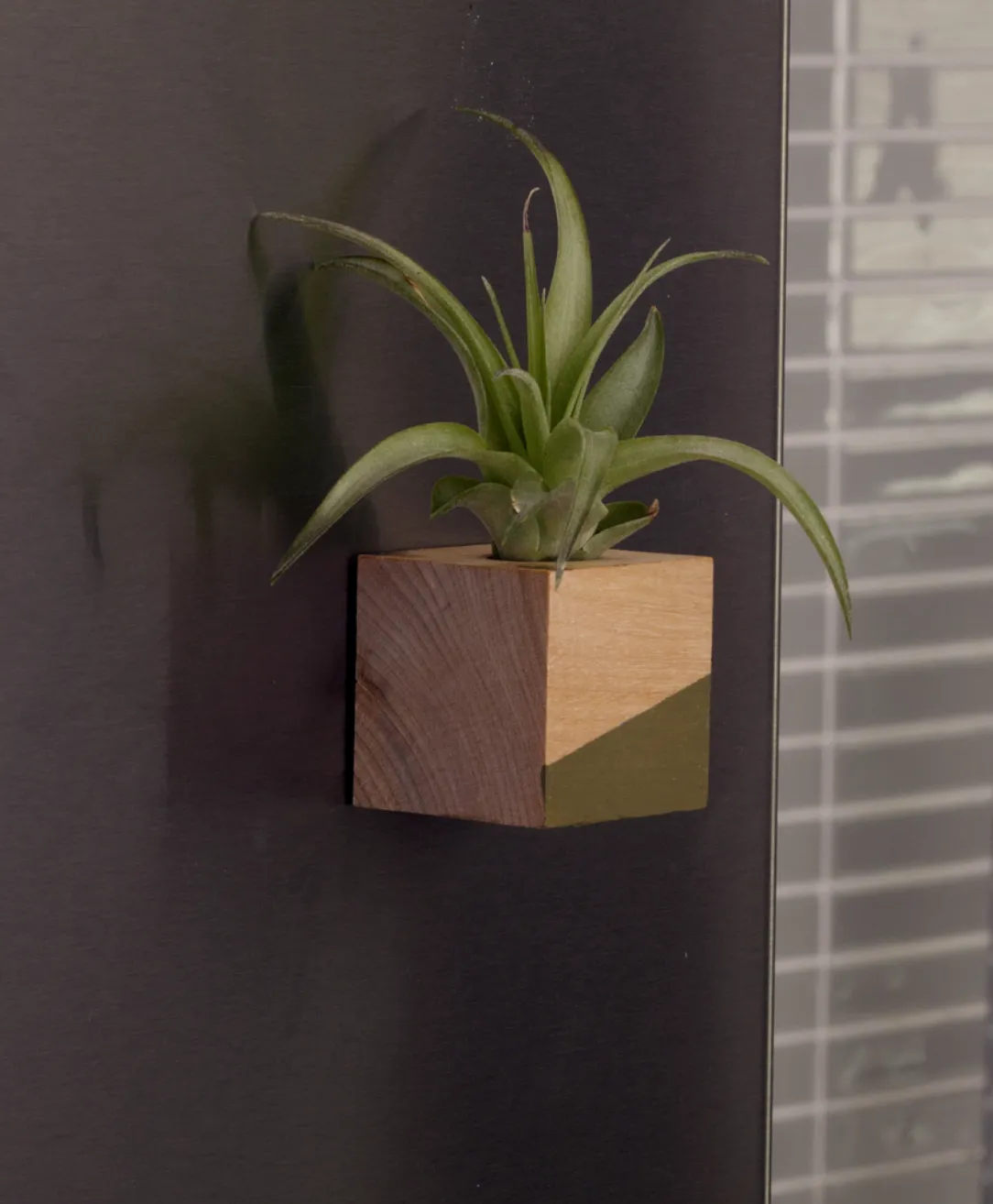 Cube Mordern Airplant Holder Stand/ Magnet