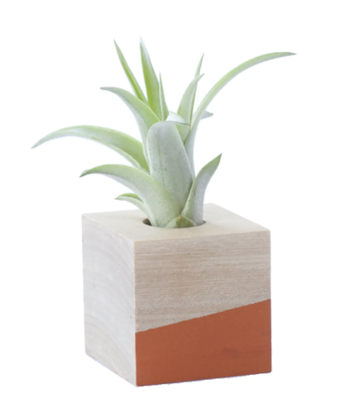 Cube Mordern Airplant Holder Stand/ Magnet