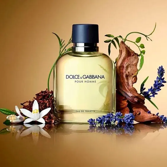 Dolce & Gabbana Pour Homme Eau De Toilette For Men