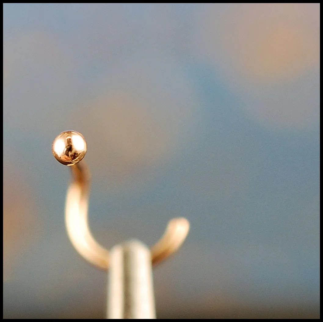 Gold Bud Ball Nose Stud - Solid 14 Karat Yellow Gold