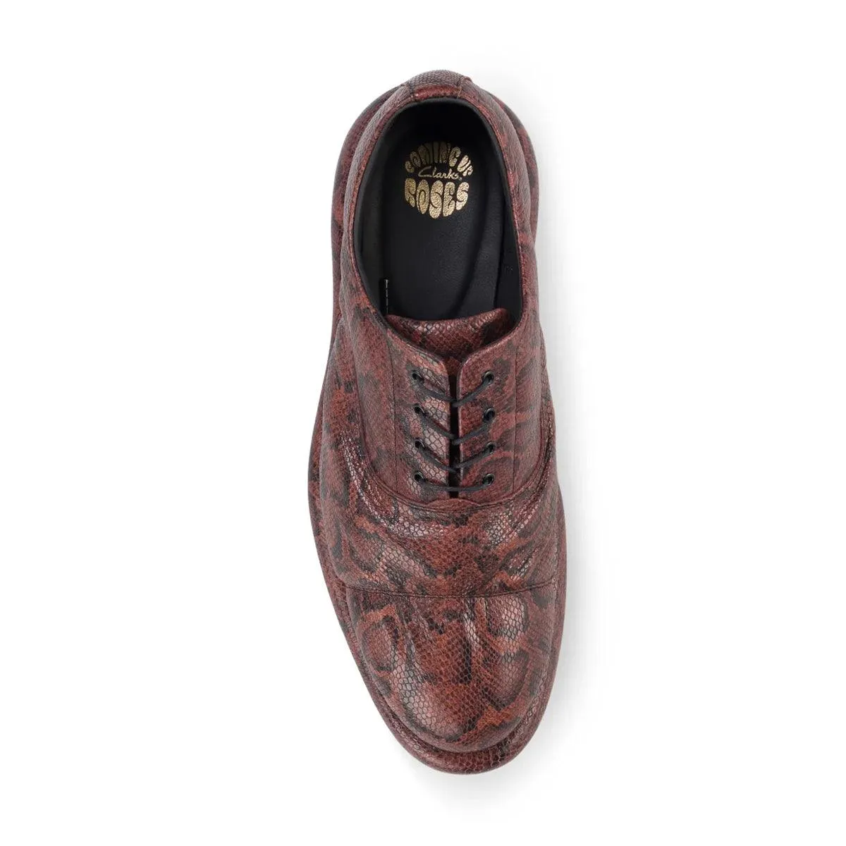   Martine Rose Oxford 'Brown Snake'