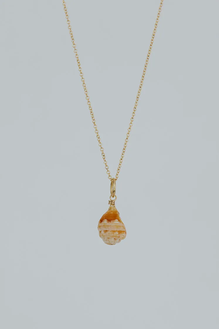 Perfect Tiny Shell Charm necklace