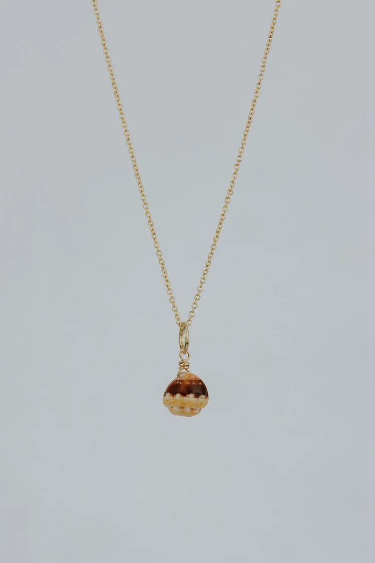 Perfect Tiny Shell Charm necklace