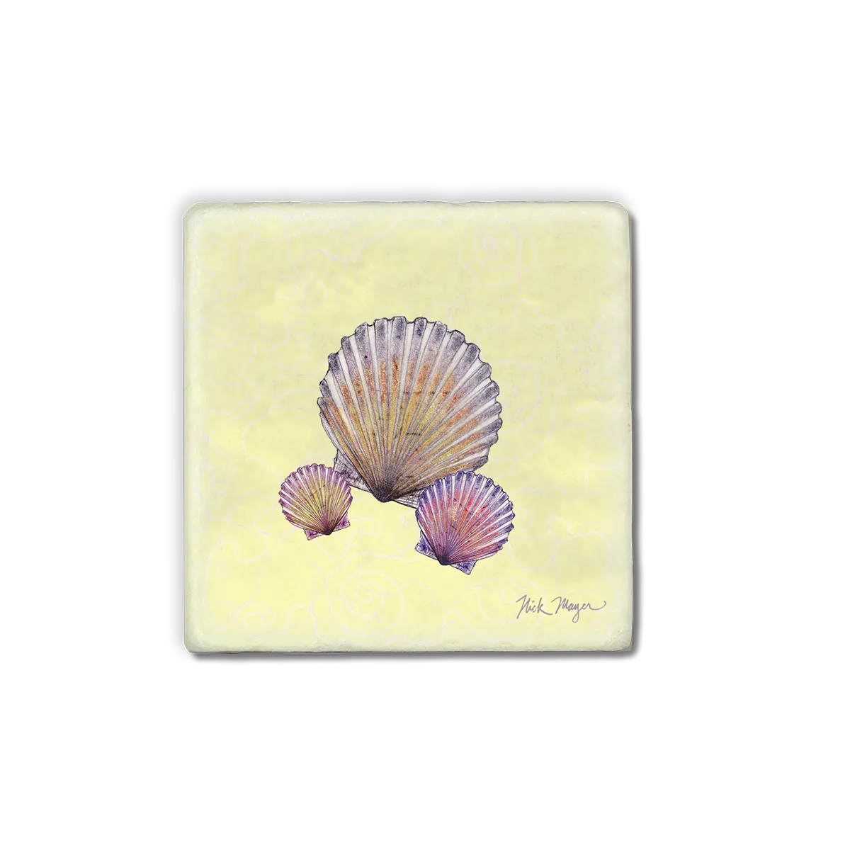 Scallops Marble Stone Coasters - Set of 4